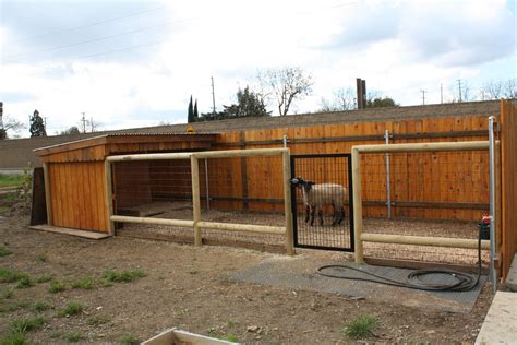 Constructued of 1/2" square tubing making it lightweight. . Show goat pens